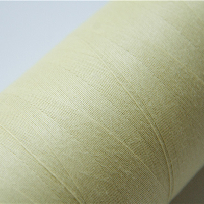 Поток 60TEX Para Aramid шить для шить рисбермы